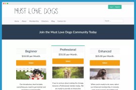 Paid Memberships Pro v2.12.8：强大的WordPress会员插件