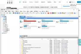 XYplorer PRO v25.40.0400 中文注册便携版：一个强大的多标签文件管理器